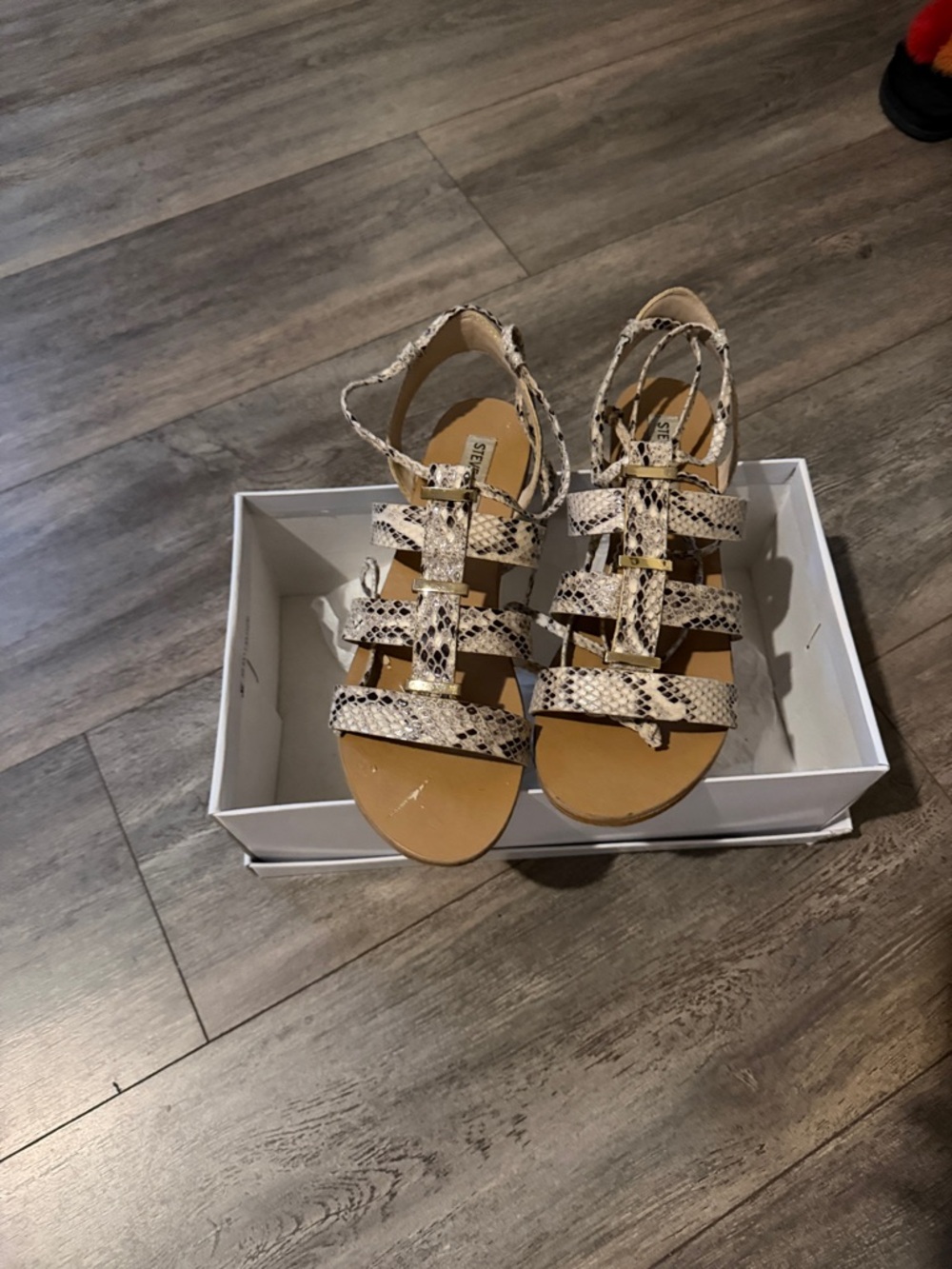 Steve Madden Multi-Tone Snake-Print Strappy Flat Sandals